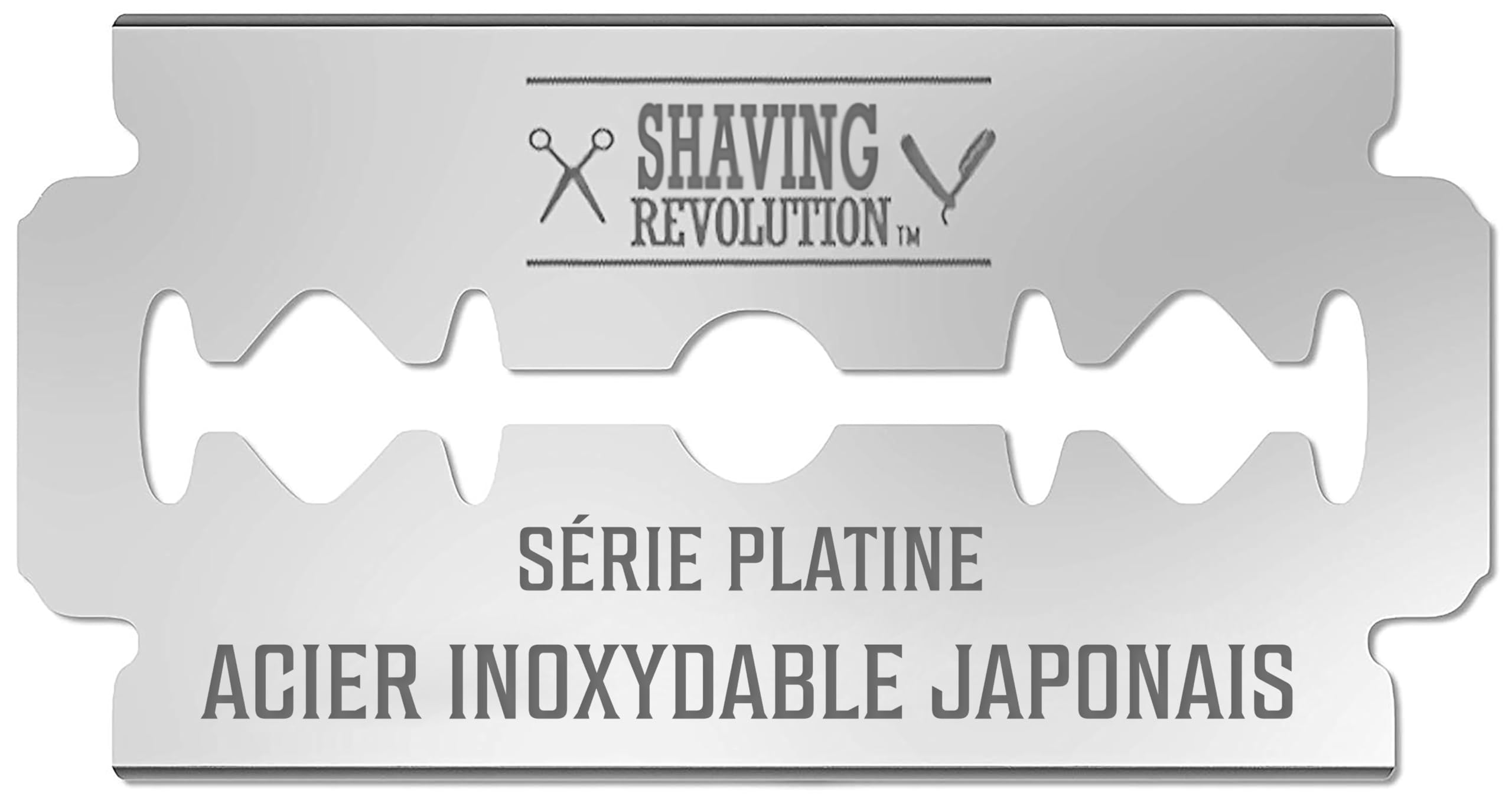 Viking Revolution Lames Rasoir de Sécurité Acier Inoxydable Japonais pour Homme - Rasage Doux et Précis - Pack Lames Ras